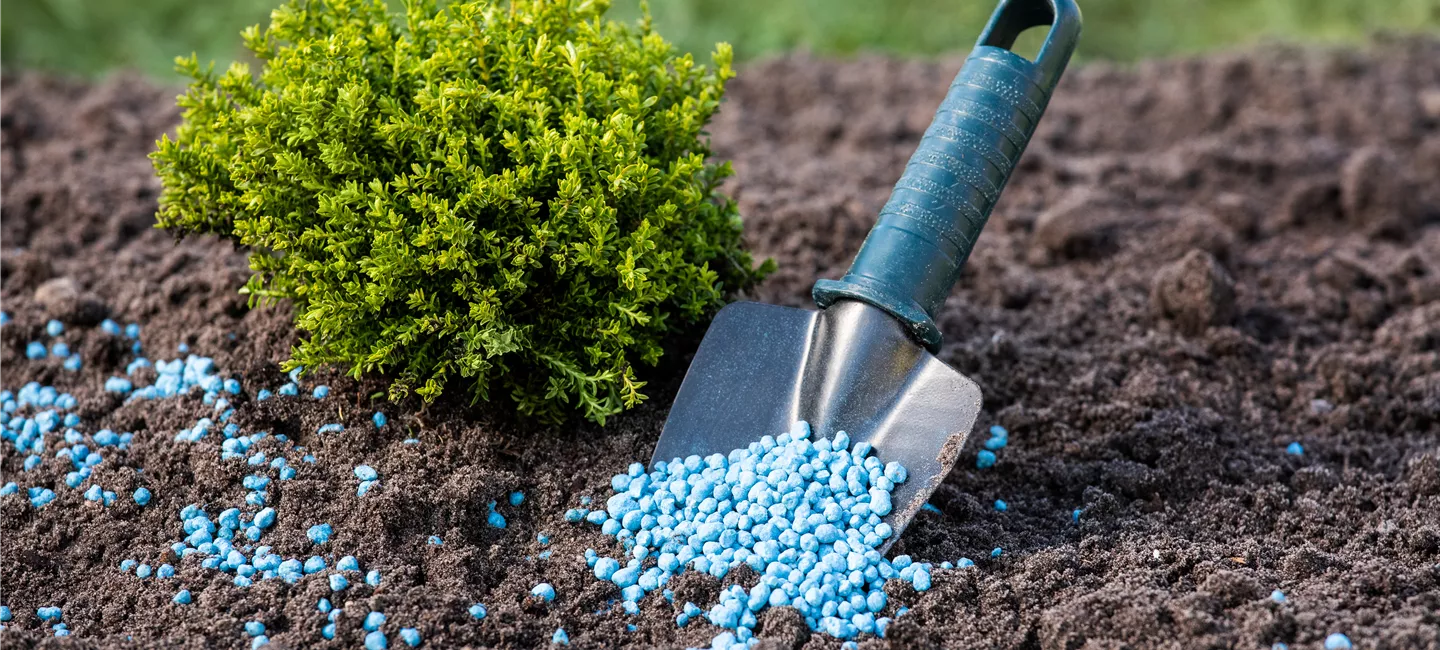 Gartenaccessoires Gartenbaumschule Engel