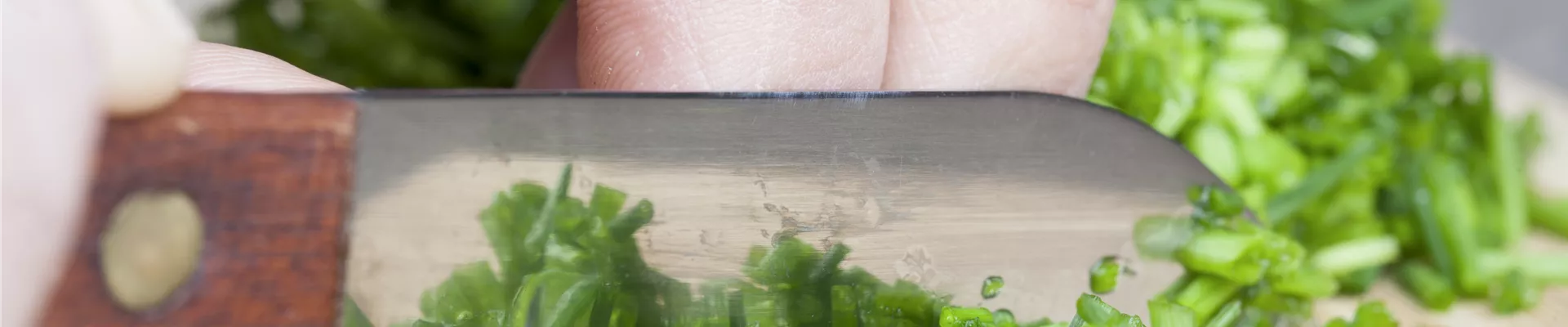 Allium schoenoprasum Allium schoenoprasum