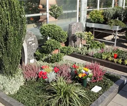 Doppelgrab - Grabbepflanzung im Herbst Doppelgrab - Grabbepflanzung im Herbst