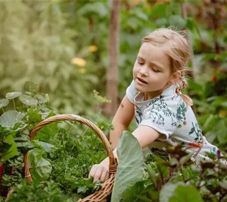 Jetzt kann geerntet werden! Kinder spielerisch einbeziehen