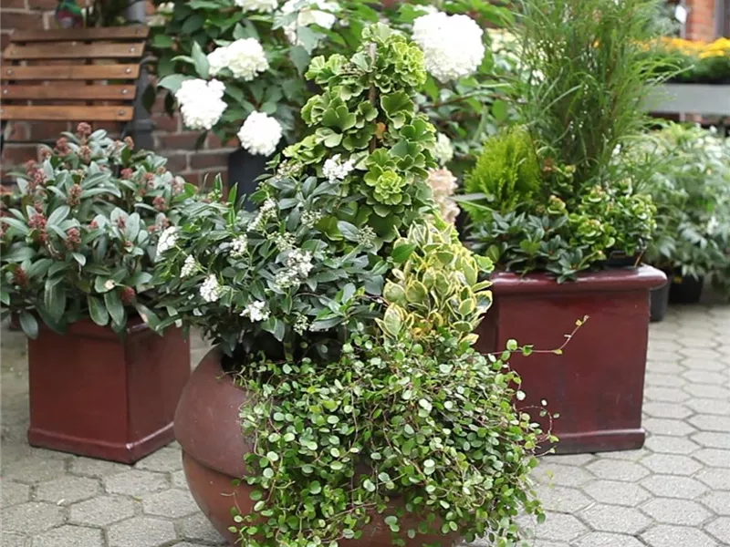 VERKAUFSOFFENER SONNTAG anlässlich der Mitwitzer Kirchweih