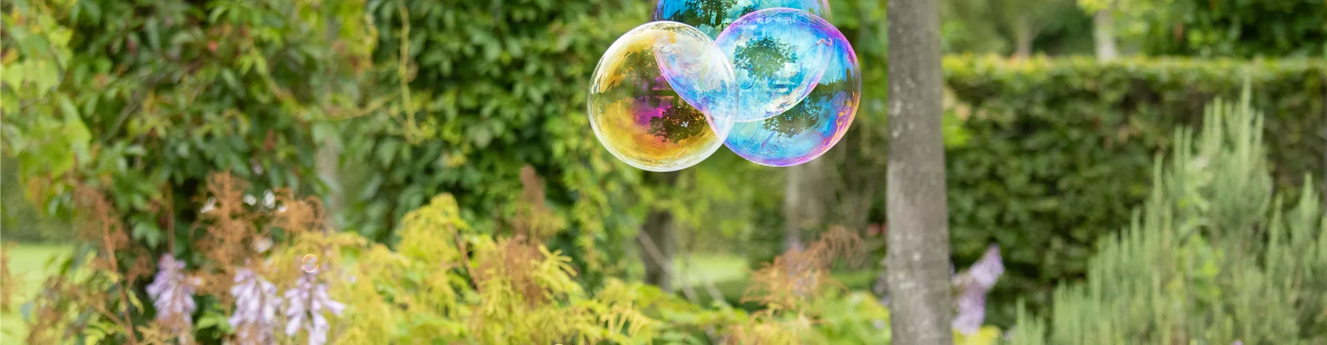Sommergarten - Seifenblasen  Sommergarten - Seifenblasen