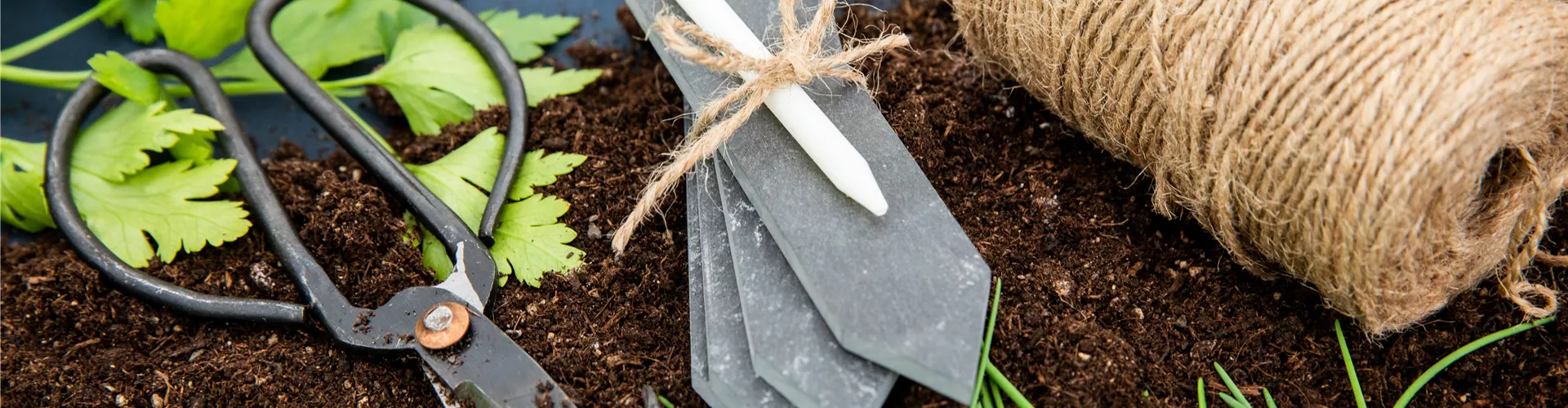 Aussaat - Pflanzenschild Aussaat - Pflanzenschild