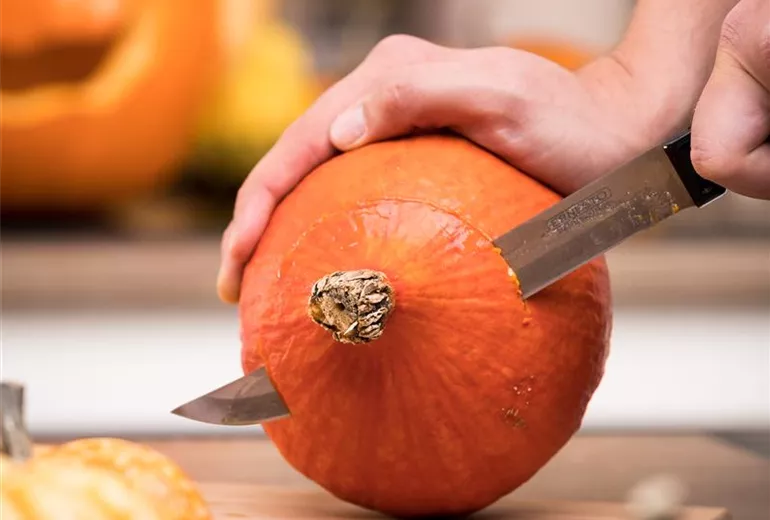 Hokkaido aufschneiden Hokkaido aufschneiden