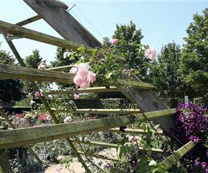 Gartengestaltung - Rosengarten Gartengestaltung - Rosengarten