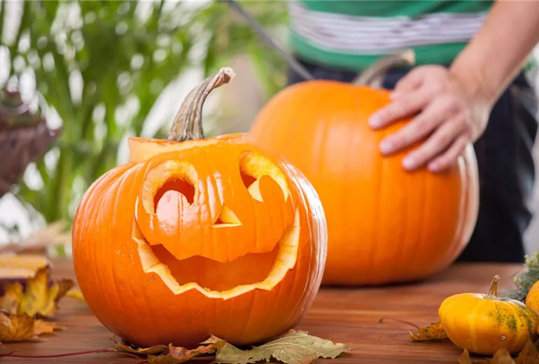 Halloween Kürbis vorbereiten Halloween Kürbis vorbereiten