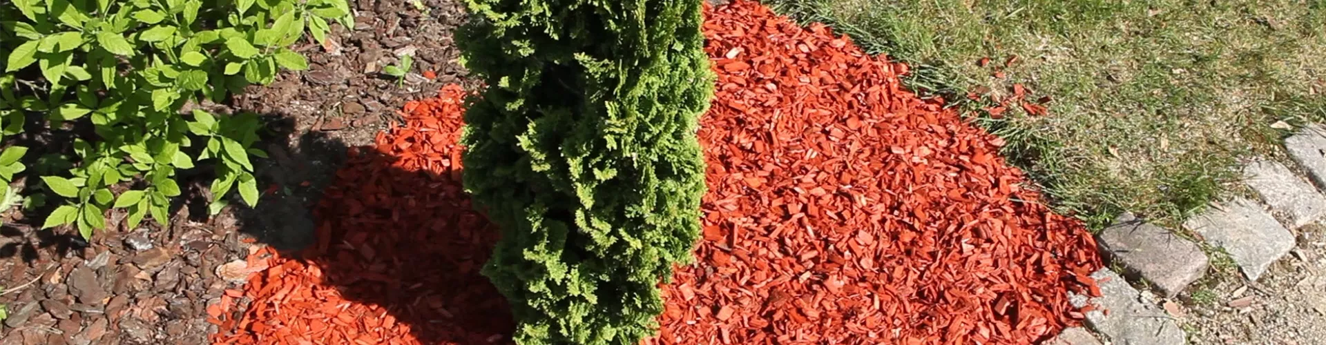 Mulch - Einsatz im Garten (thumbnail) Mulch - Einsatz im Garten (thumbnail)
