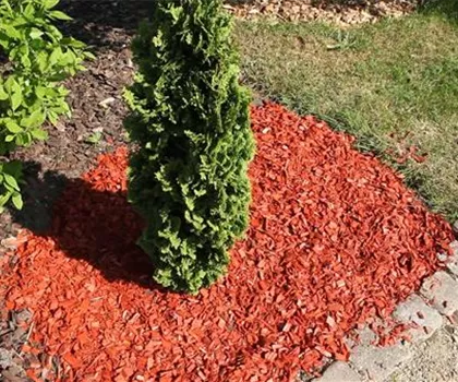 Mulch - Einsatz im Garten Mulch - Einsatz im Garten