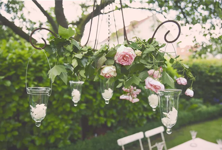 Rosa, rosa Rosa, rosa