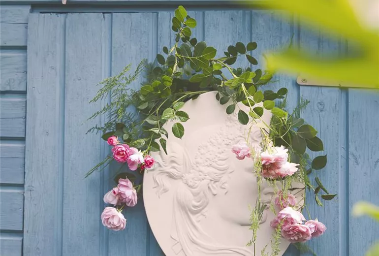 Rosa, rosa Rosa, rosa