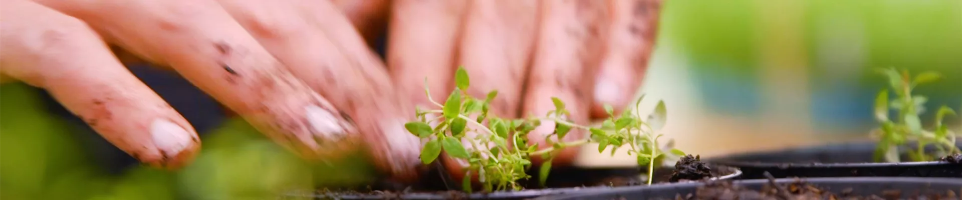 Thumbnail 2 Thumbnail 2