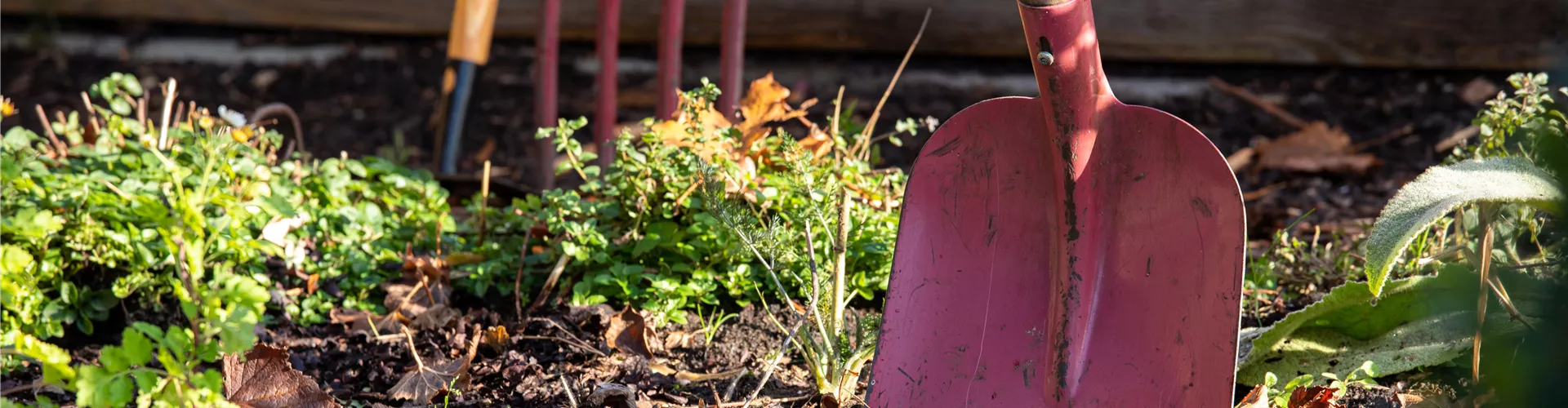 Gartengeräte  Gartengeräte