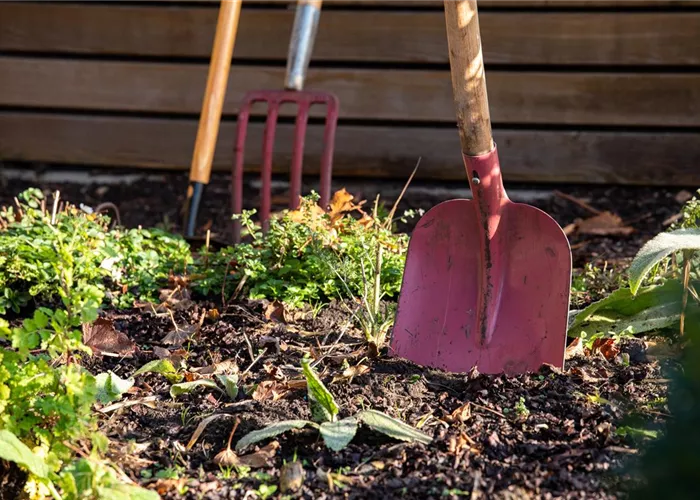 Stellenangebote Stellenangebote