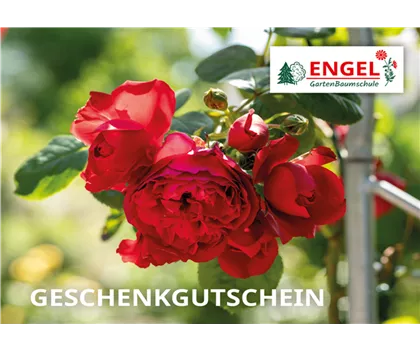 Ihr Gutschein zum Ausdrucken Ihr Gutschein zum Ausdrucken