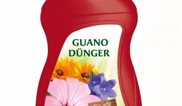 eibe welcher dünger Heimische Eibe main image 1