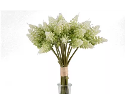 Kunst-Traubenhyazinthe  Kunst-Traubenhyazinthe