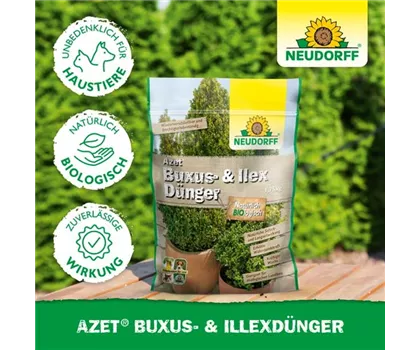 Azet Buxus- & IlexDünger  Azet Buxus- & IlexDünger