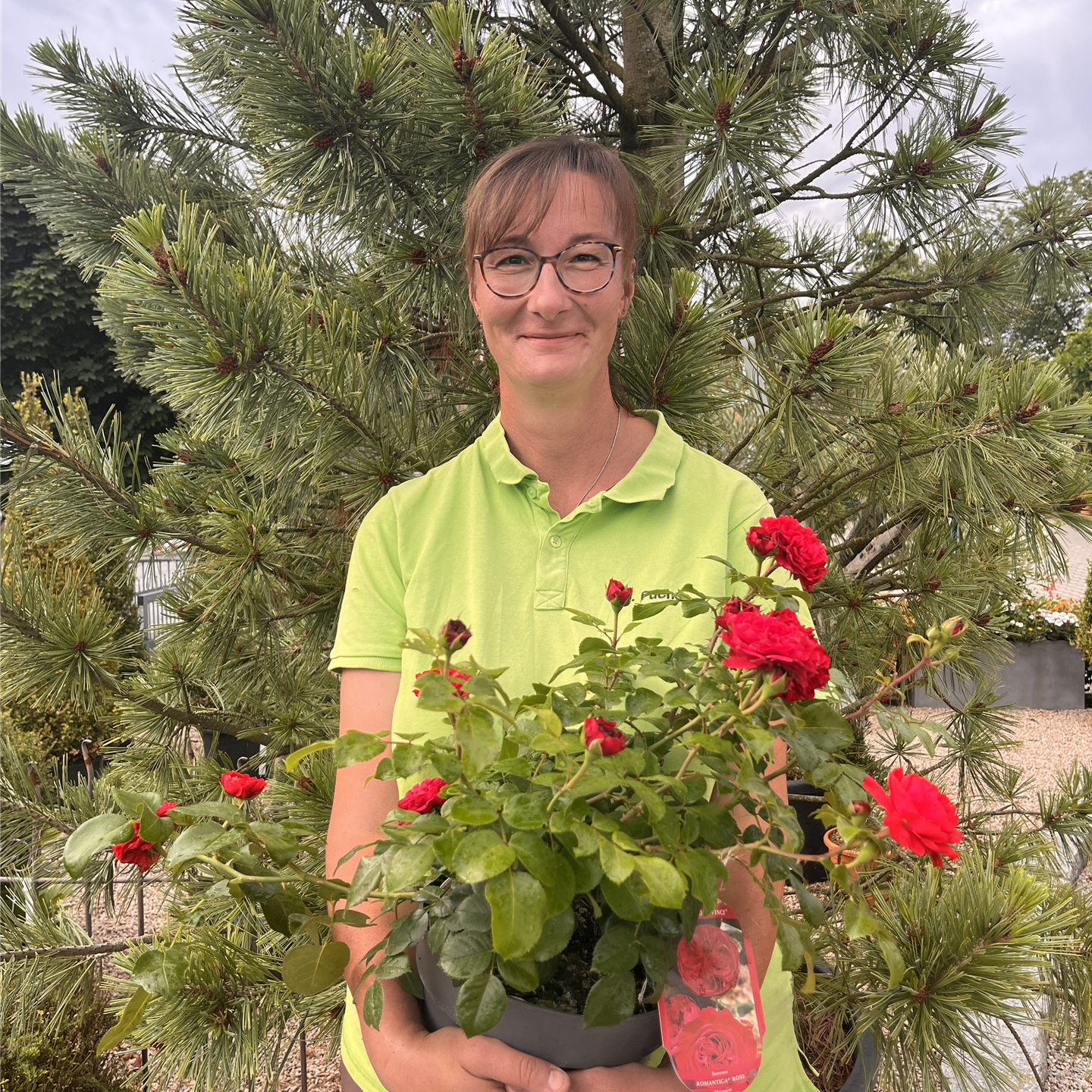 Stefanie Fuchs Stefanie Fuchs