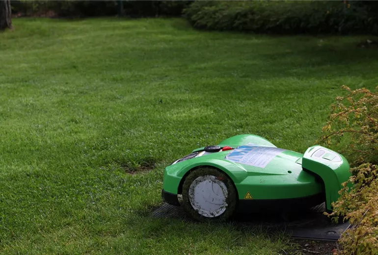 Rasenmäher Rasenmäher