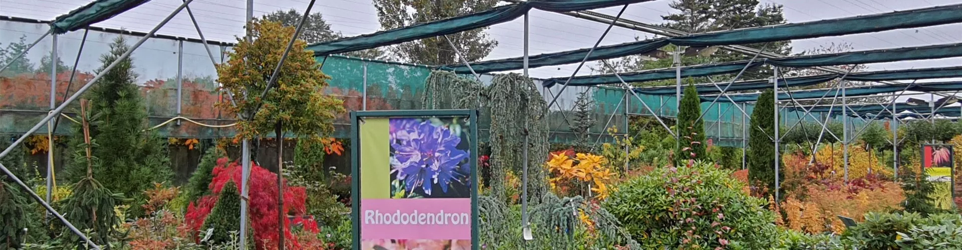 Freiland_5 Freiland_5