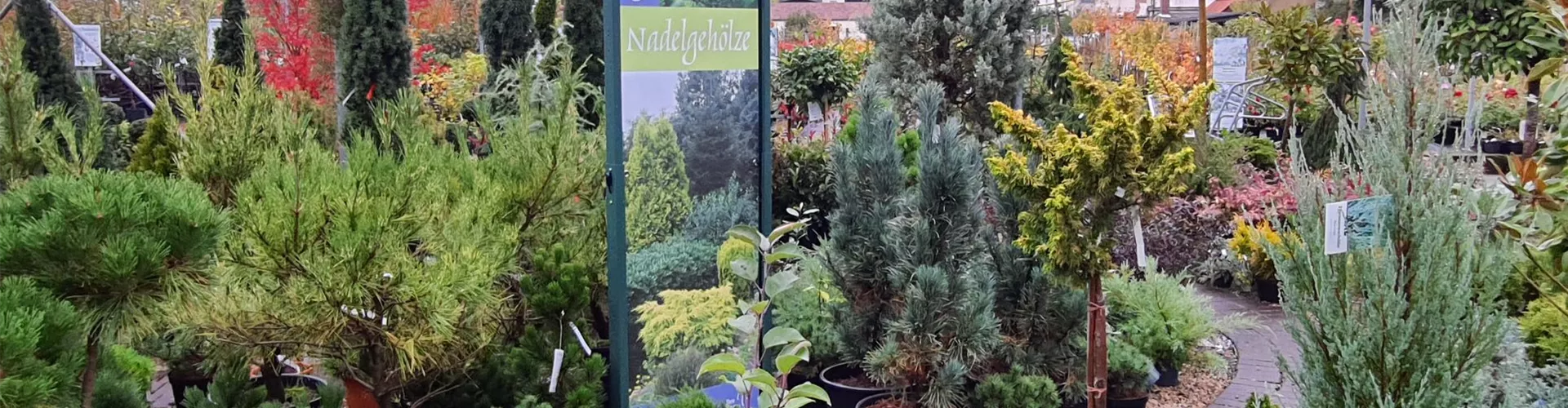 Freiland_7 Freiland_7