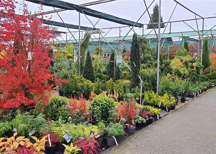 Freilandverkaufsfläche Freilandverkaufsfläche