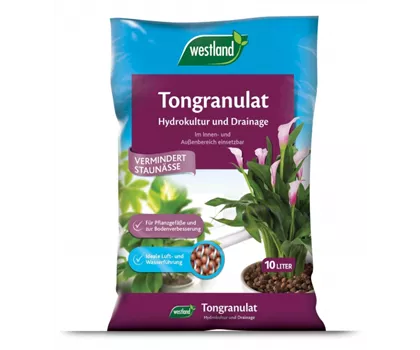 Tongranulat  Tongranulat