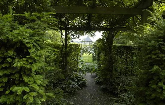 Garten easy going – so wird der Garten pflegeleicht Garten easy going – so wird der Garten pflegeleicht