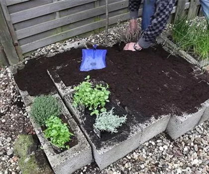 Kräuter - Einsetzen in Pflanzsteine Kräuter - Einsetzen in Pflanzsteine