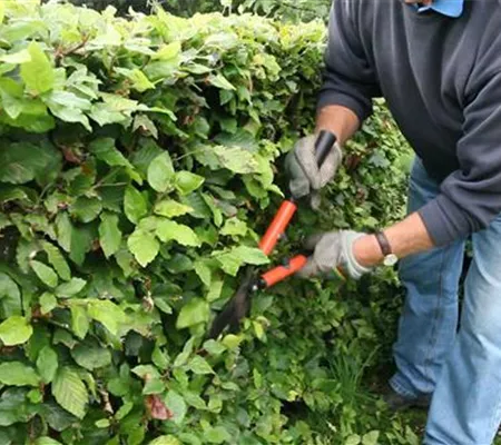 Schneidwerkzeuge und Zubehör