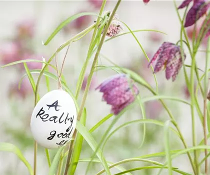 Der Garten für den Osterhasen – ein Frühlingsparadies!