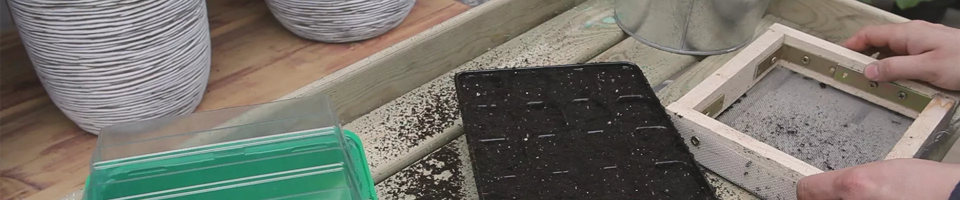 Chinakohl - Aussäen von Samen (thumbnail) Chinakohl - Aussäen von Samen (thumbnail)