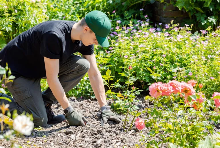 Mann bei der Gartenarbeit Mann bei der Gartenarbeit