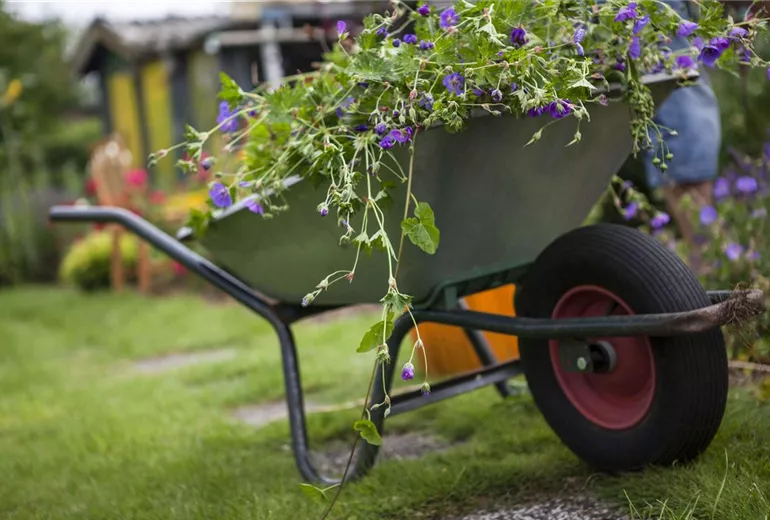 Schubkarre Schubkarre