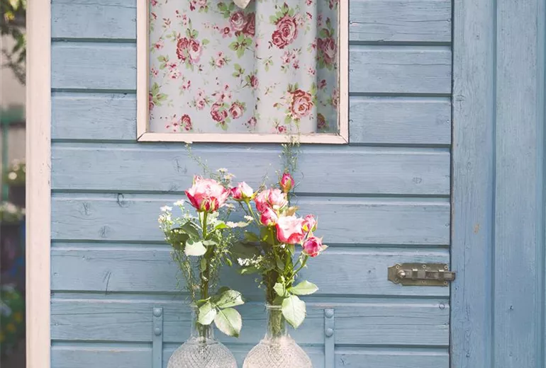 Rosa, rosa Rosa, rosa