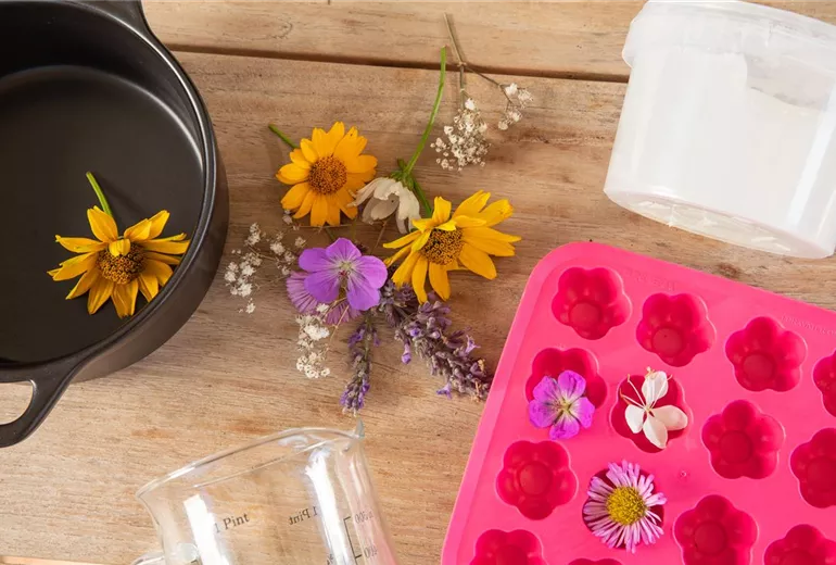 Blumenseife - Materialien Blumenseife - Materialien