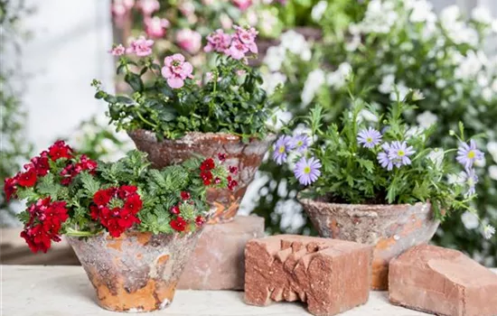 Der ganz große Stil im Garten - eine Anleitung für Menschen mit Liebe zu Effekten Der ganz große Stil im Garten - eine Anleitung für Menschen mit Liebe zu Effekten