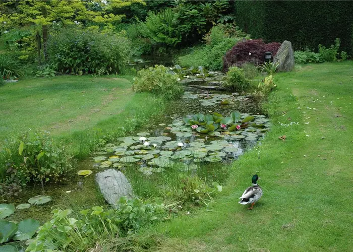 Der Bachlauf im Garten – Wasser bringt Ruhe und Erholung